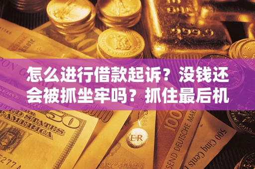 武汉怎么进行借款起诉？没钱还会被抓坐牢吗？抓住最后机会！