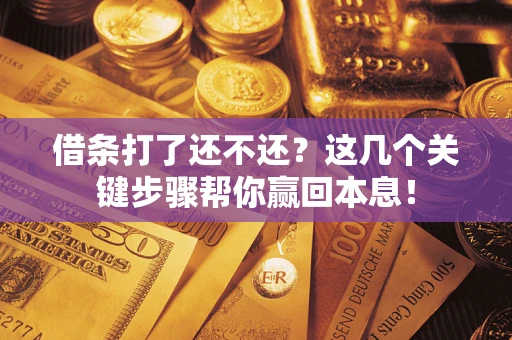 武汉借条打了还不还？这几个关键步骤帮你赢回本息！