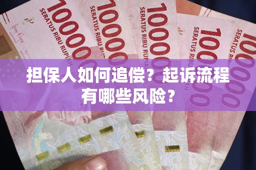 武汉担保人如何追偿？起诉流程有哪些风险？