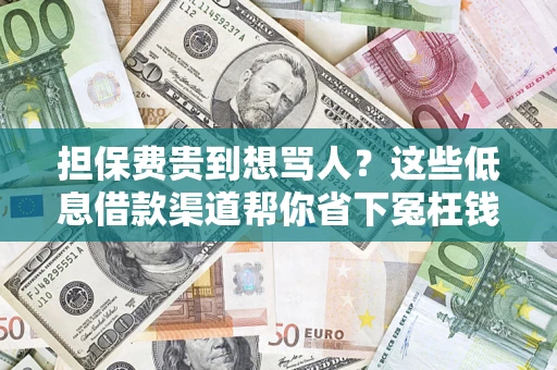 武汉担保费贵到想骂人？这些低息借款渠道帮你省下冤枉钱