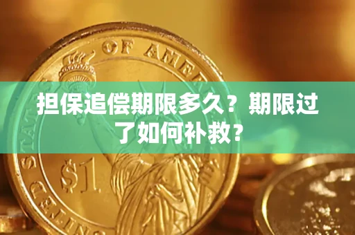 武汉担保追偿期限多久？期限过了如何补救？