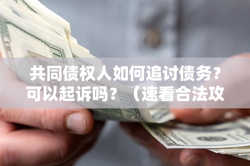 武汉共同债权人如何追讨债务？可以起诉吗？（速看合法攻略）