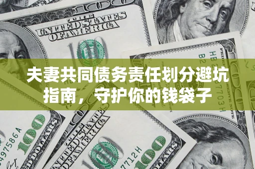 武汉夫妻共同债务责任划分避坑指南，守护你的钱袋子