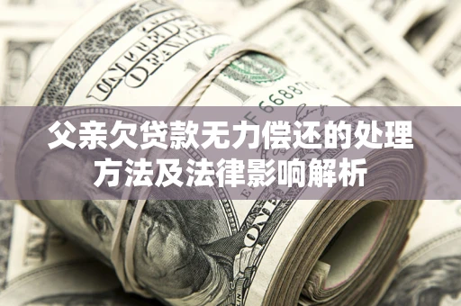 武汉父亲欠贷款无力偿还的处理方法及法律影响解析