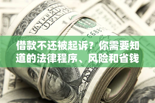 武汉借款不还被起诉？你需要知道的法律程序、风险和省钱技巧